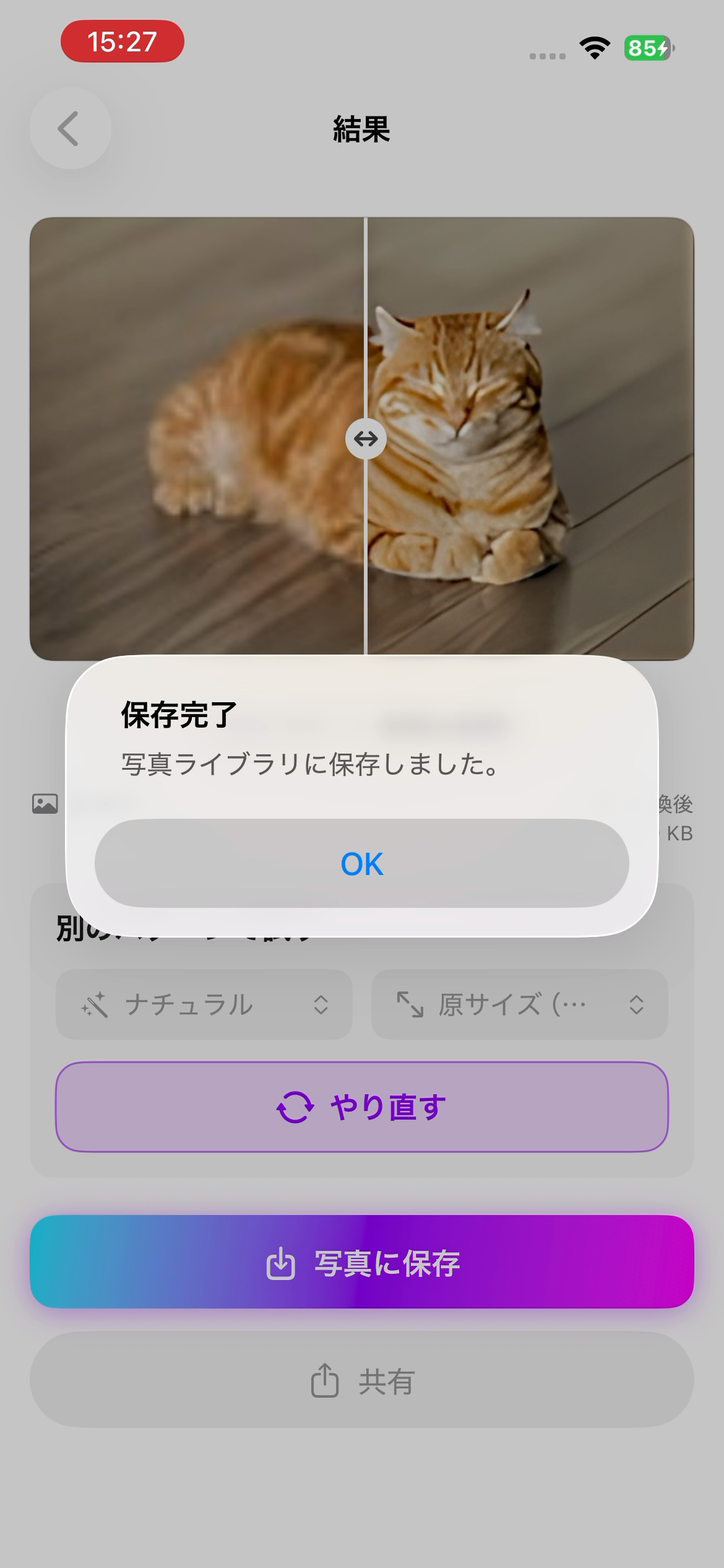 保存完了